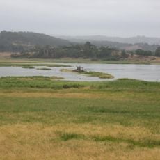 Tamar River Conservation Area