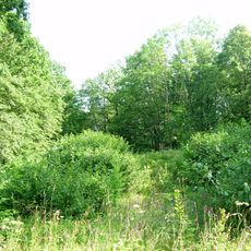 Naujininkai hillfort