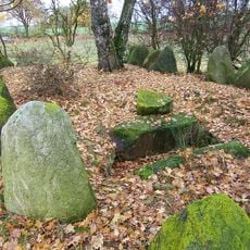 Großsteingräber von Frauenmark