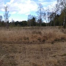 Padworth Common Local Nature Reserve