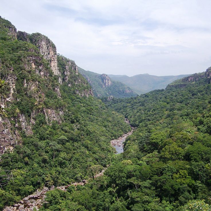 Parc National de la Chapada dos Veadeiros