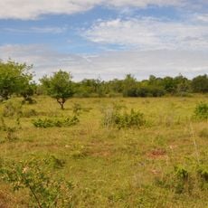 Österplana hed och vall