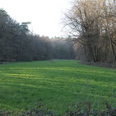 NSG Hinterste Neuwiese und NSG Waldwiesenbach bei Oberhöchstadt