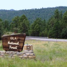 Gila National Forest