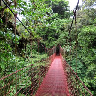 Reserva Biológica do Bosque Nuboso de Monteverde