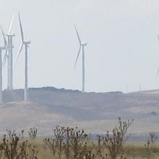 Capital Wind Farm