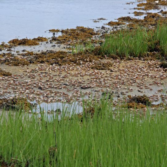 Refuge faunique national Elizabeth A. Morton