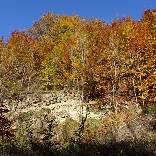 Kalkklippen südlich des Iberges