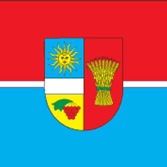 Distretto di Kalynivka