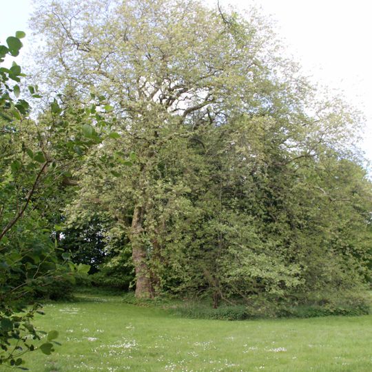 Landschaftspark Hohenstein