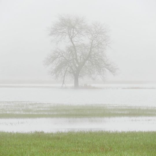 Bliesaue zwischen Blieskastel und Bliesdalheim