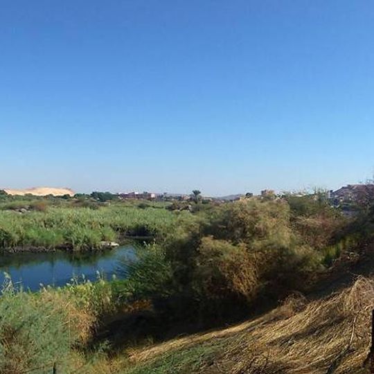 Saluga and Ghazal islands