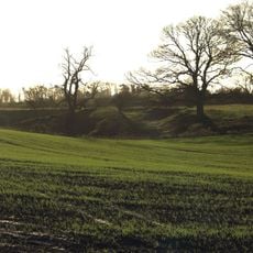 Low Buston medieval settlement, 231m south east of Low Buston Hall
