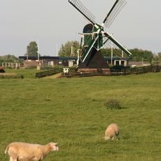 Nieuwe Hofmolen