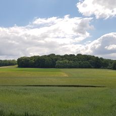 Kolmonderbosch