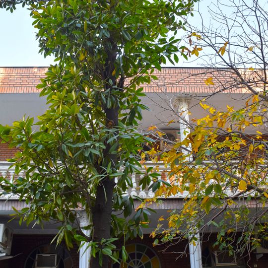 Hushang Ebtehaj House