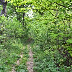Kaštieľ Ožďany s areálom, park