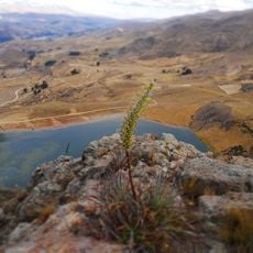 Lake Antacocha