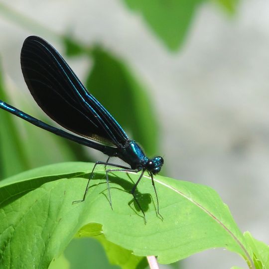 Shubenacadie Canal and Waterway Provincial Park