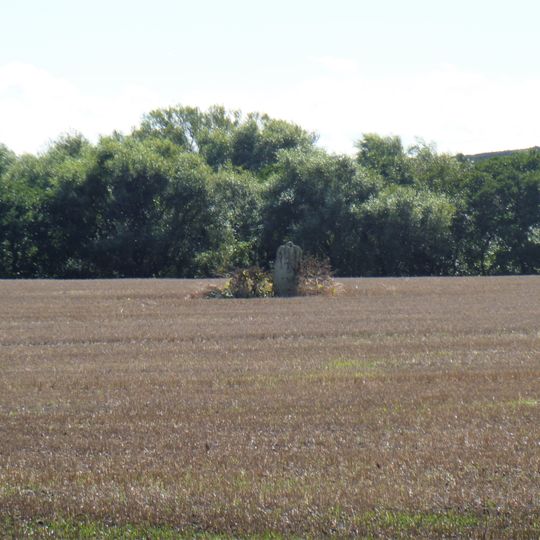 Standing stone on Brockrigg known as Wade's Stone, 420m south east of Brockrigg Farm