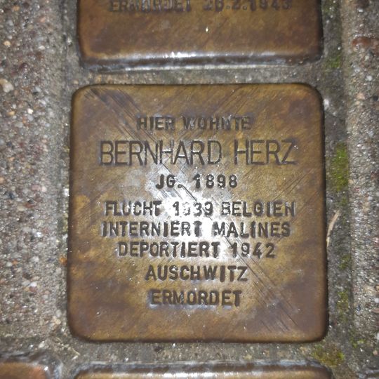 Stolperstein en memoria de Bernhard Herz