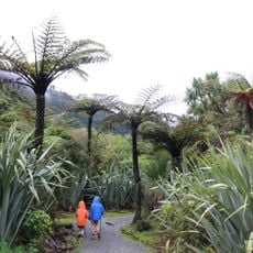 Paparoa Track