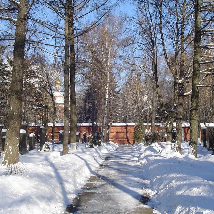 Cimitero di Novodevichy