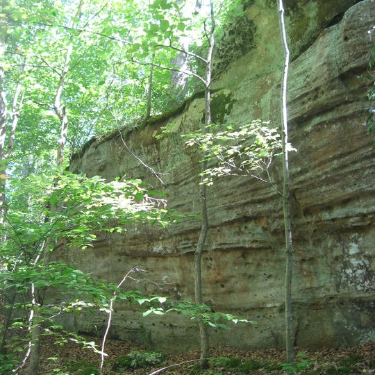 Piney Creek South Site