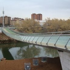 Pasarela Pedro Gómez Bosque