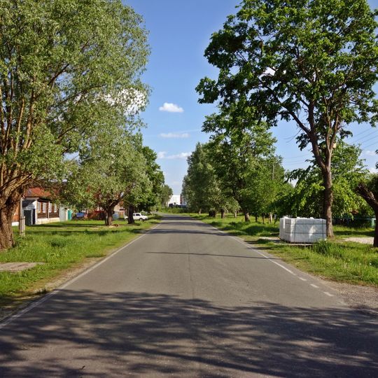 Savasleyka