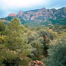 Cibola National Forest