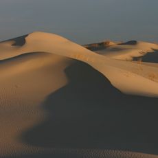 Monahans Sandhills State Park