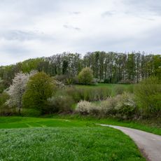 LSG-Wald- und Gruenlandkomplex Muehlenberg