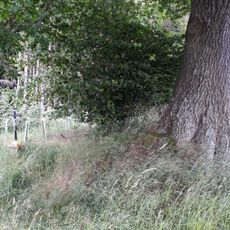 Kříž severozápadně od Roučkovic