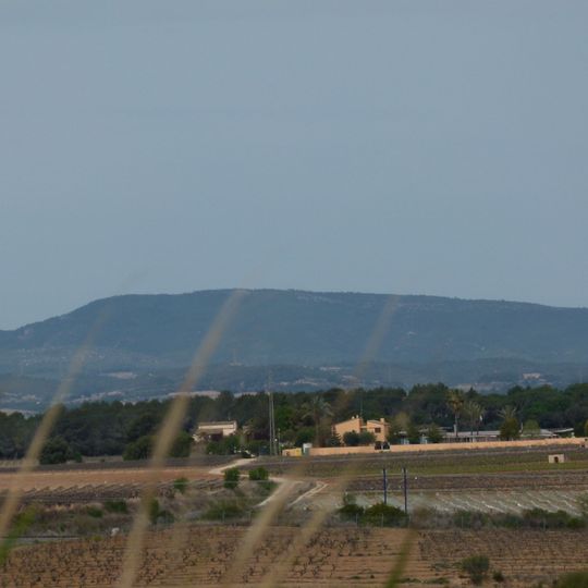 Turó de les Clivelleres