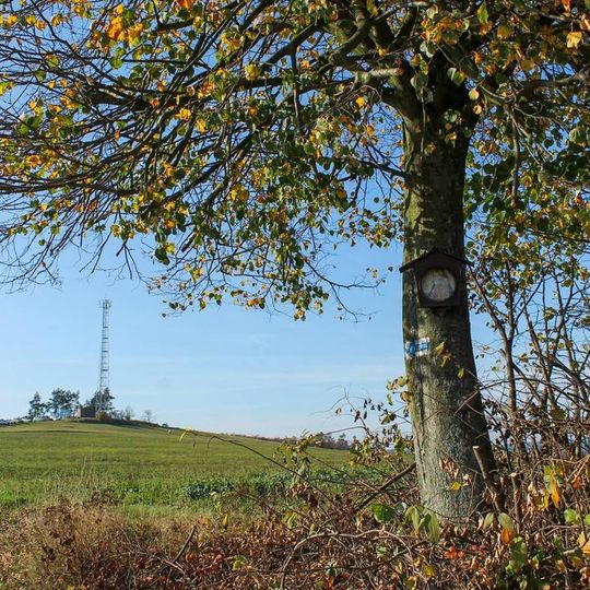 Obrázek ve Studené Loučce u polní cesty