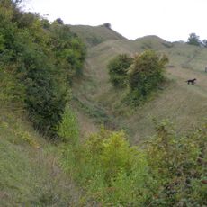 Hod Hill camp and Lydsbury Rings
