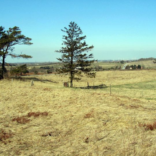 De Himmerlandske Heder