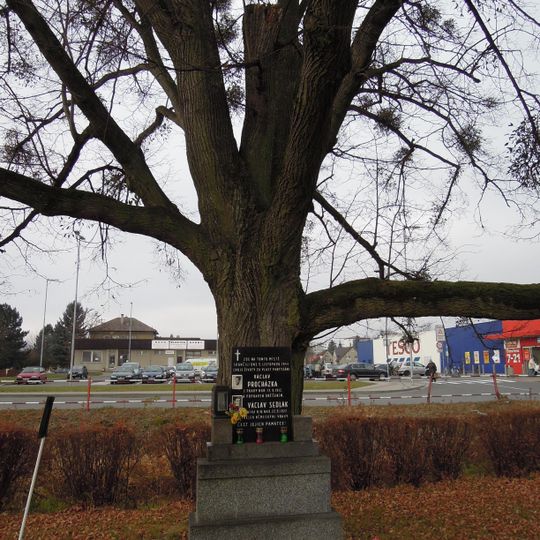 Pomník popravených partyzánů