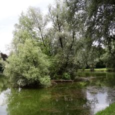 Landschaftsschutzgebiet Salzachsee-Saalachspitz