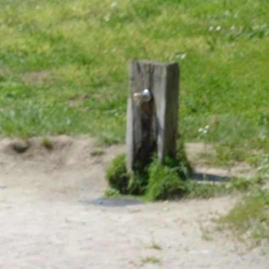 Fountain Playground Rietpark