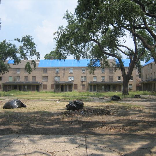 Magnolia Projects