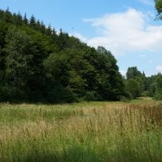 Quellenhang im Schweizerbachtal