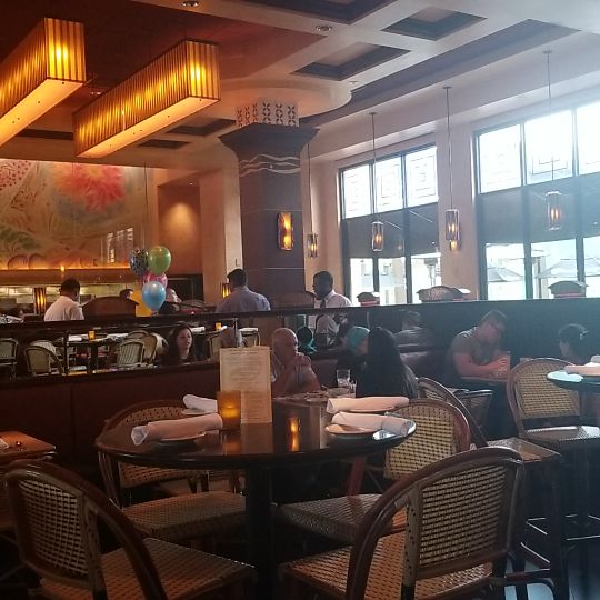 The Cheesecake Factory