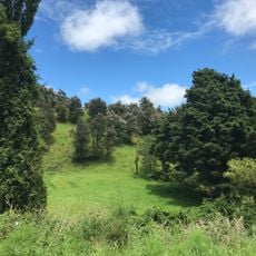 Waihipai Domain
