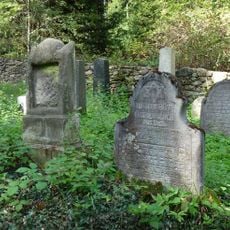 Jewish cemetery in Dub