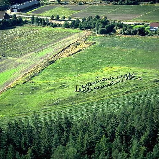 Gräberfeld von Blomsholm