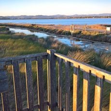 Salins des Pesquiers