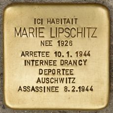 Marie Lipschitz