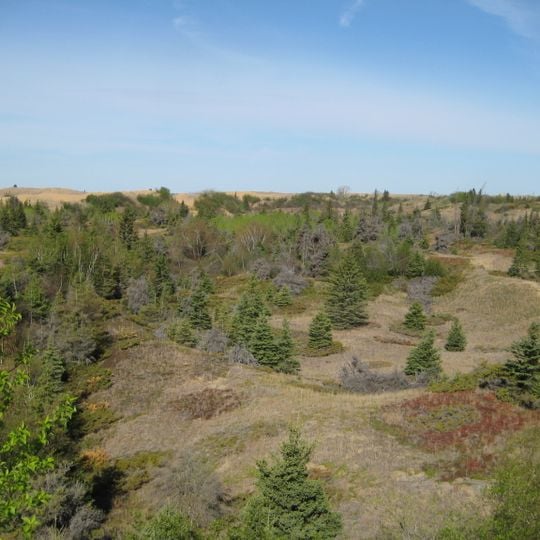 Parc provincial de Spruce Woods